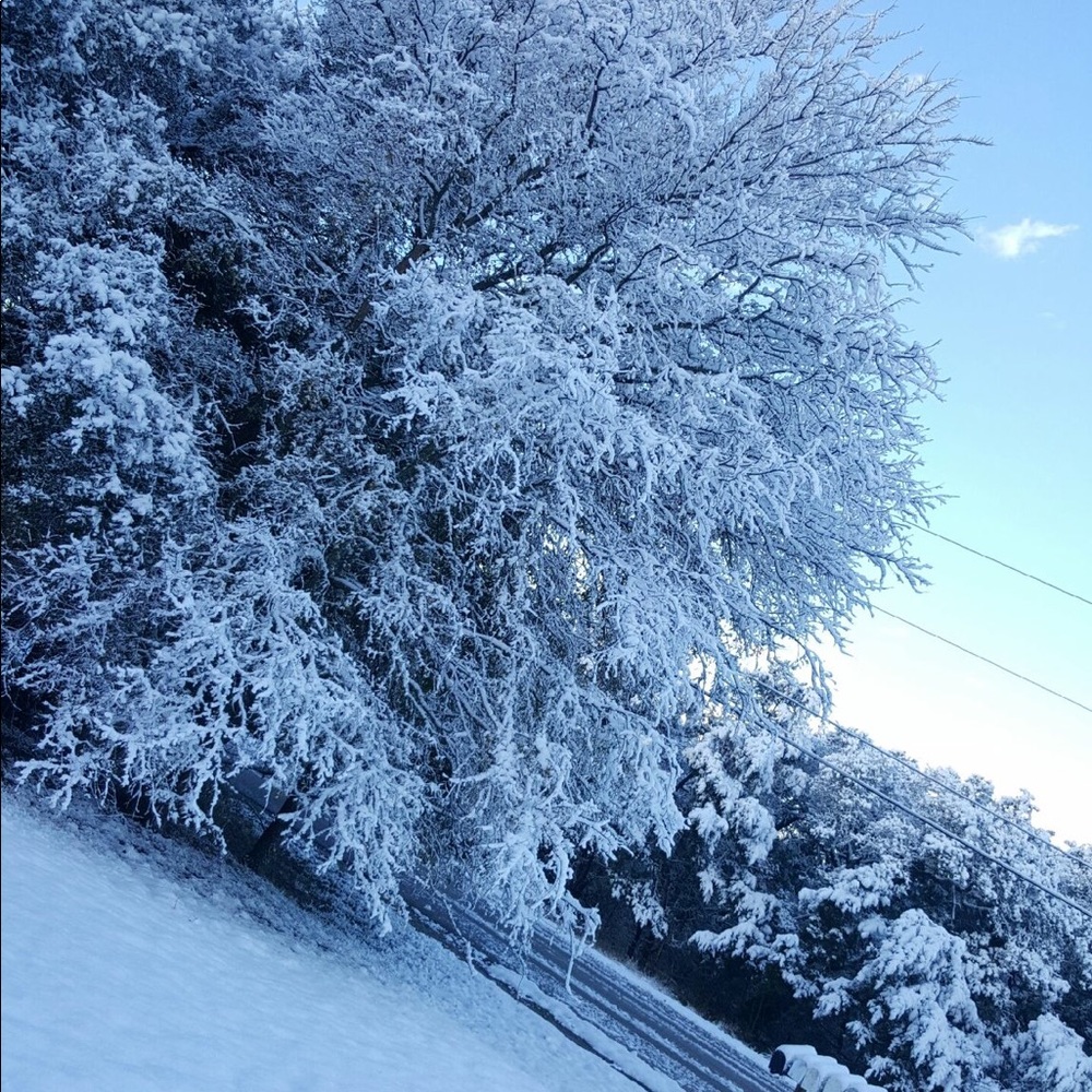 Meet your Posher, Claudia